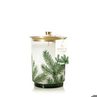 Frasier Fir Medium Pine Needle Luminary