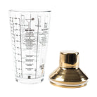 Recipe cocktail shaker held while mixing